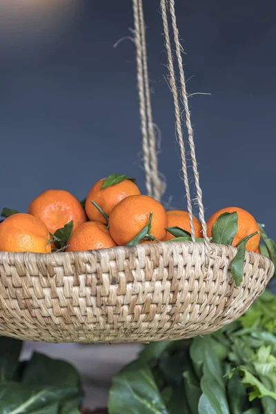 Naranja Madura Granja — Foto de Stock