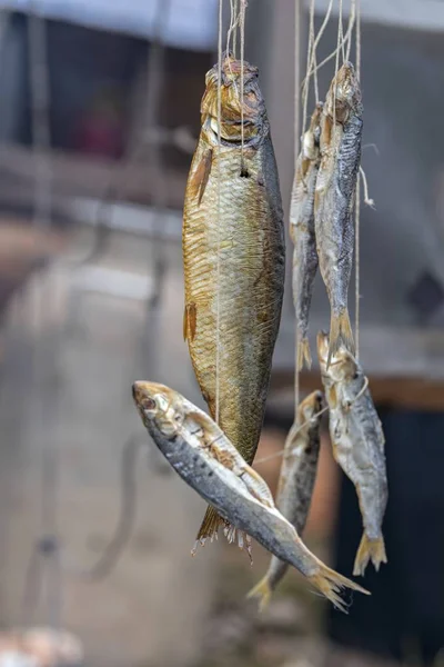 hanging dried fish in the farm