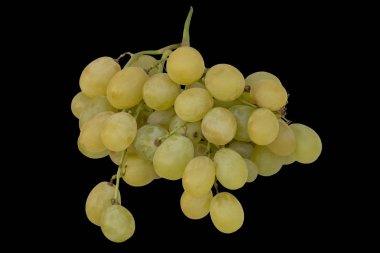 Bir demet Beyaz Üzüm