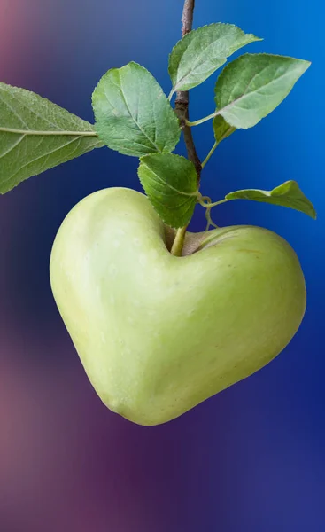 apple heart for love