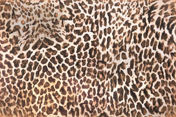 Abstrakta Leopard Päls För Textur Bakgrund — Stockfoto