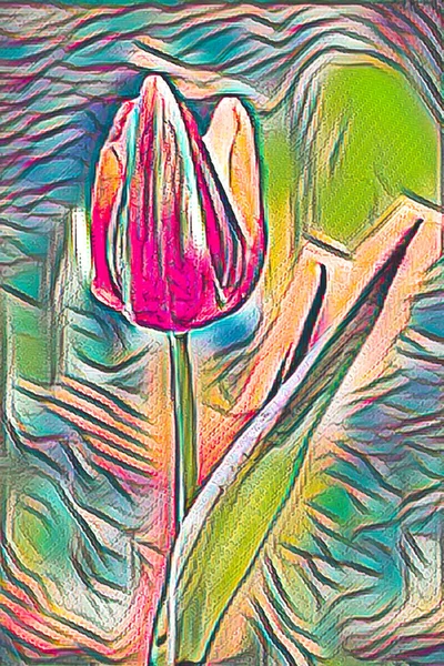 テクスチャに咲くチューリップ — ストック写真