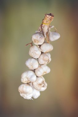 kulübede asılı gsrlic