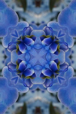 stilize mavi model arka plan