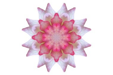 stilize rose için arka plan