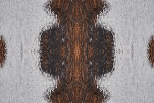 Abstrat Animal Fur — Stock Photo, Image