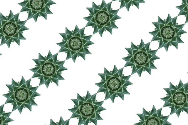 Floral Modern Pattern Background — Stock Photo, Image