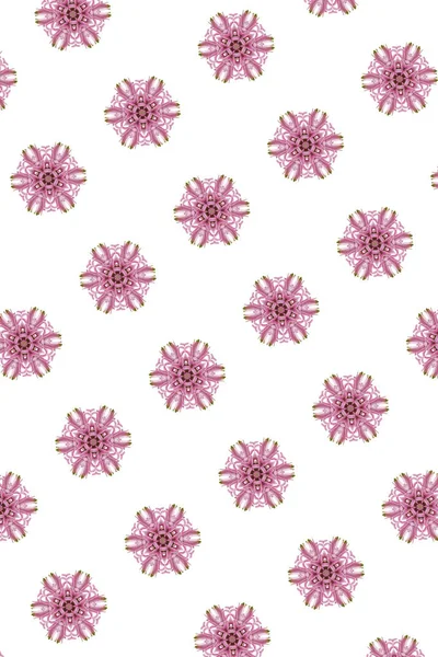 Kaleidoskop Floralen Hintergrund Für Die Dekoration — Stockfoto