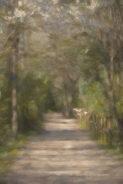 Sétálj Erdőben — Stock Fotó