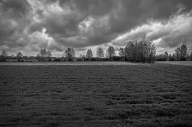 bulutlu gökyüzü ile doğal alan