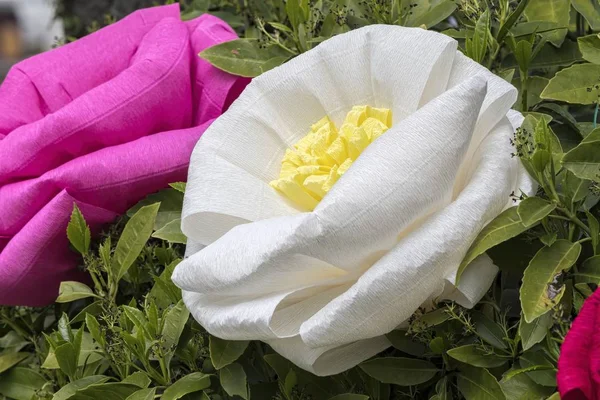 Handmade Papier Mache Flowers — Stock Photo, Image