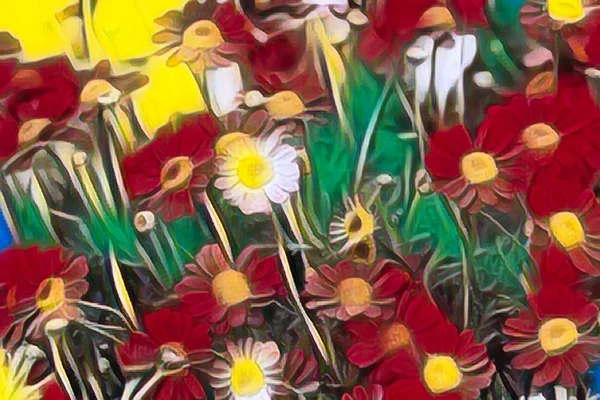 Margarida Abstrata Flor Primavera — Fotografia de Stock