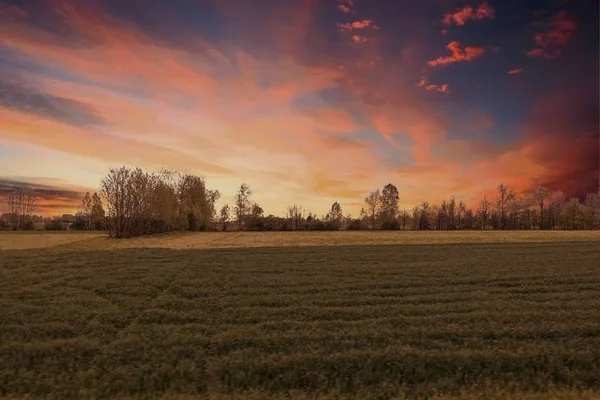 Scenic Field Horizon — Stock Photo, Image