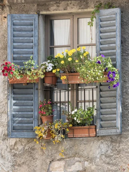 Flowering Windows Old House — Stock Photo, Image