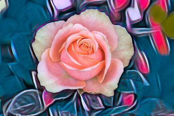 Rosa Rose Auf Textur Hintergrund — Stockfoto