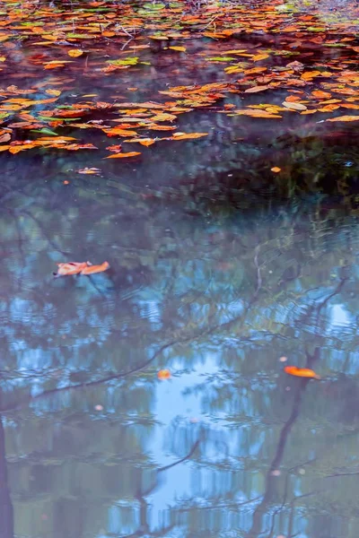 Autumn Reflection Landscape Lake — Stock Photo, Image