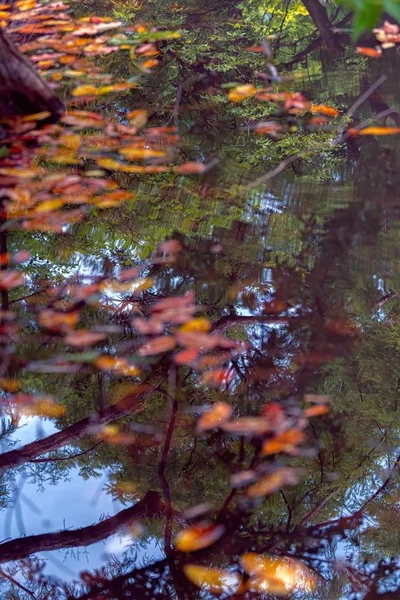Herbstbesinnung Auf Den See — Stockfoto