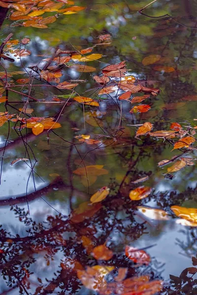 Podzimní Odraz Krajinné Jezero — Stock fotografie