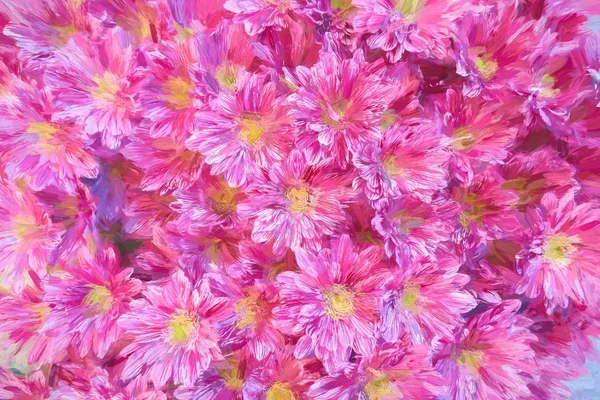 Margarida Colorida Flor Primavera — Fotografia de Stock