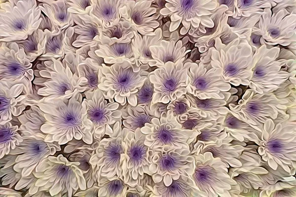 Buntes Gänseblümchen Blüht Frühling — Stockfoto