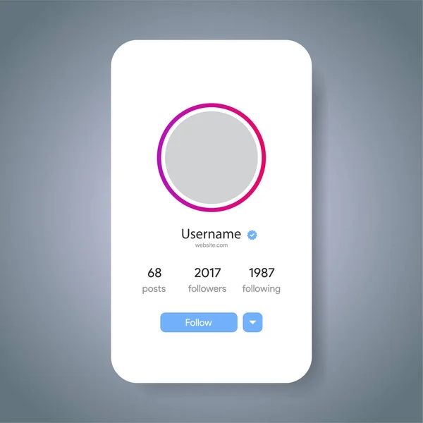 Page Aperçu Instagram Informations Sur Profil Des Médias Sociaux Suivez — Image vectorielle