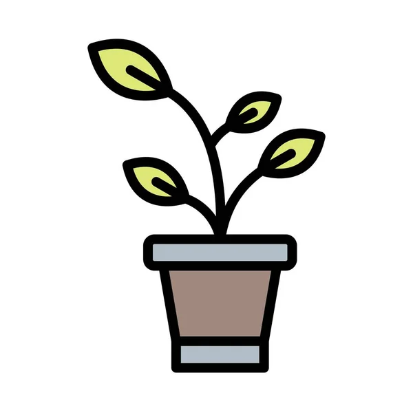 Sprout Vector Icon Sign Icon Vector Illustration Para Uso Personal — Vector de stock