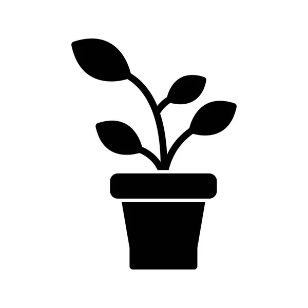 Sprout Wektor Znak Ikona Ikony Ilustracja Wektorowa Użytku Osobistego Komercyjnego — Wektor stockowy