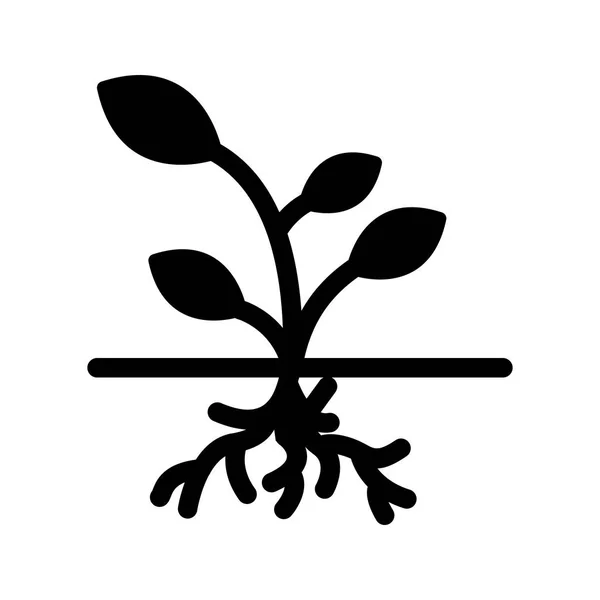 Root Vektor Symbol Symbol Vektor Illustration Für Den Persönlichen Und — Stockvektor