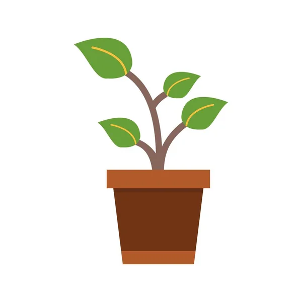 Sprout Vector Icon Sign Icon Vector Illustration Para Uso Personal — Vector de stock
