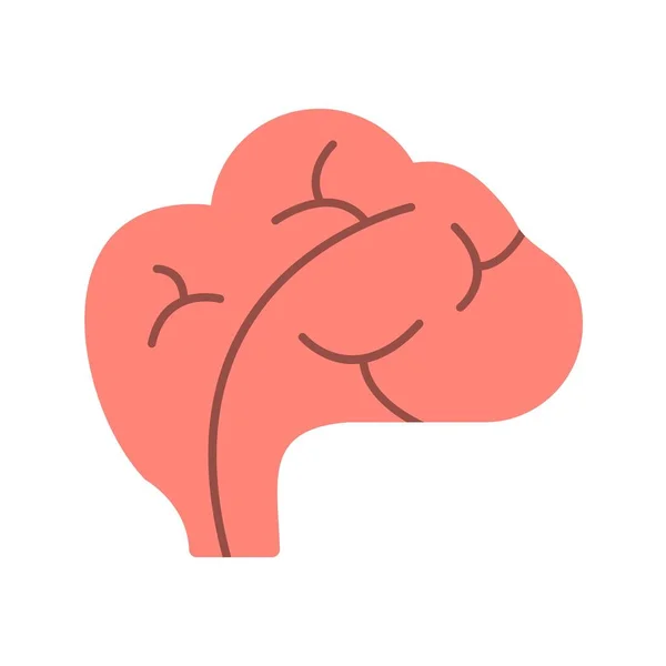 Illustration Brain Icon — Stock Photo, Image