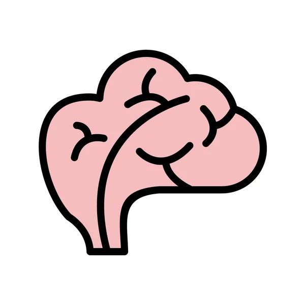 Illustration Brain Icon — Stock Photo, Image