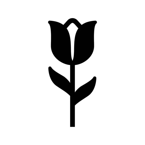 Obrázek Tulipán ikona — Stock fotografie