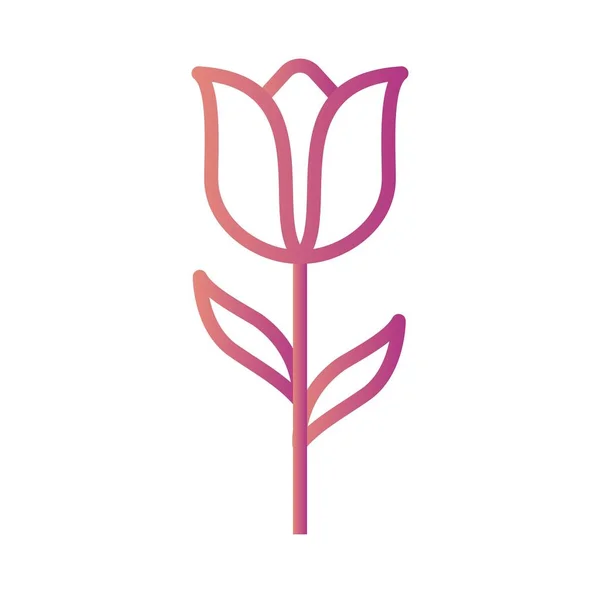 Illusztráció tulipán ikon — Stock Fotó