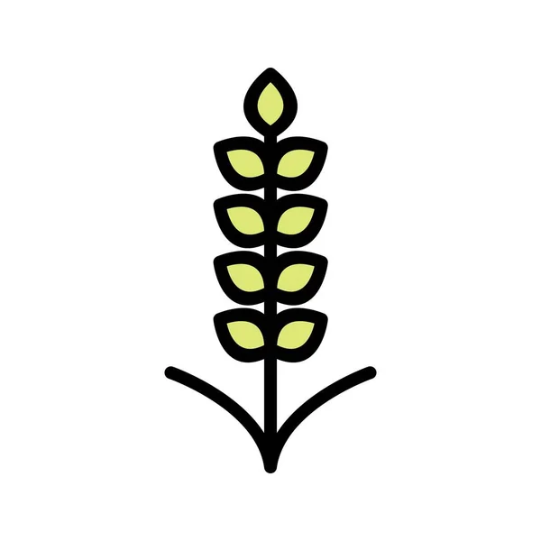 Иллюстрационная икона зерна — стоковое фото