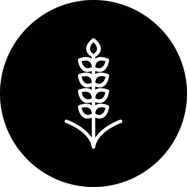 Illustration Korn-Symbol — Stockfoto