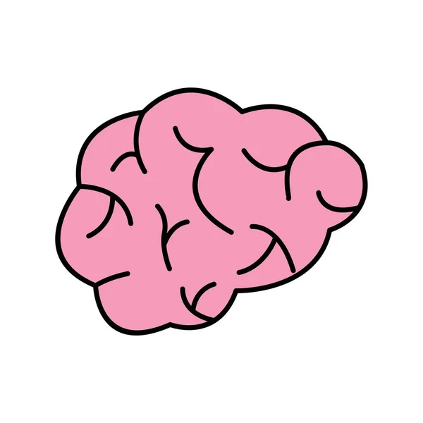 Illustration Brain  Icon — Stock Photo, Image