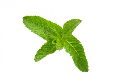 Beyaz arkaplanda izole edilmiş nane yaprağı