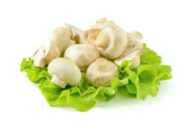 beyaz bir arka plan üzerinde mantar demet