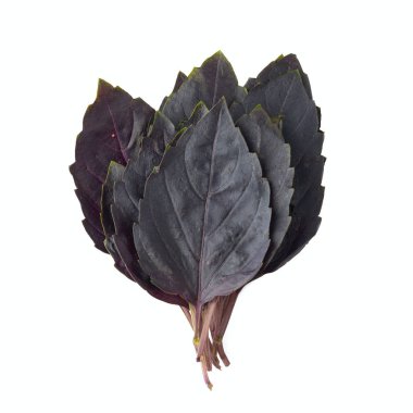 Beyaz arkaplanda fesleğen yaprakları