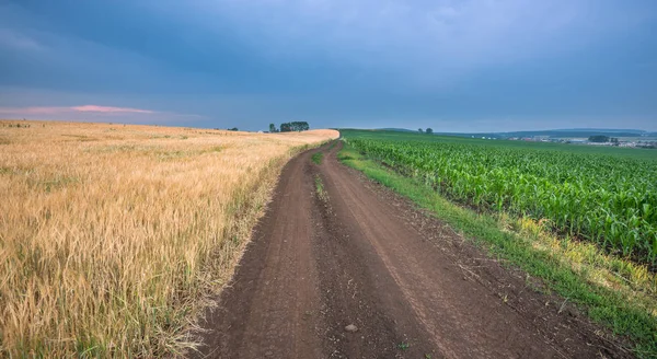 Uma estrada entre dois campos — Fotografia de Stock