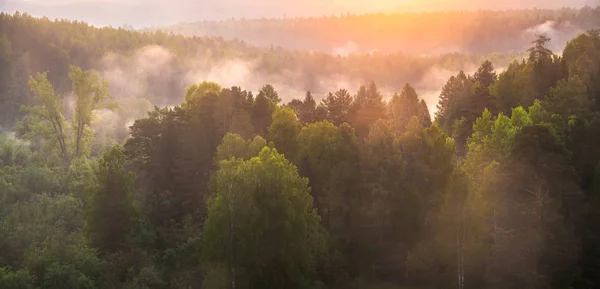 Morgendämmerung im Naturpark Hirschquellen — Stockfoto