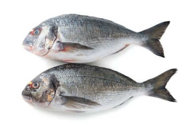 Beyaz bir arka plan üzerinde izole balık