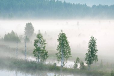 Misty dawn Nehri üzerinde