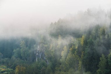 milli park geyik derelerinde sisli şafak