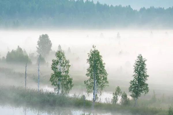 Amanhecer nebuloso no rio — Fotografia de Stock