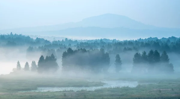 Nebelschwaden am Fluss, Wald versteckt sich im Nebel — Stockfoto