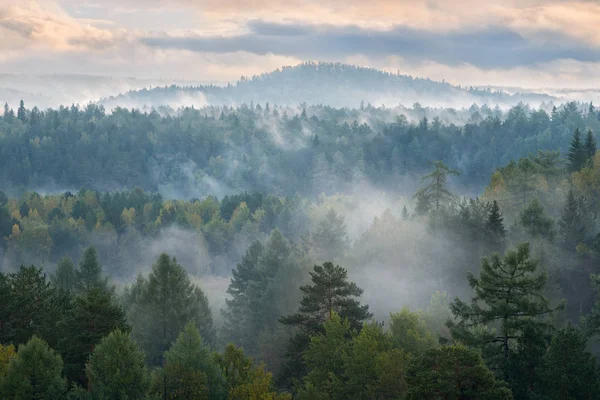 Morgendämmerung im Nationalpark Hirschbäche — Stockfoto