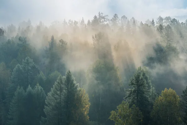 Morgendämmerung im Nationalpark Hirschbäche — Stockfoto