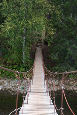 ormanda nehir üzerinde asma köprü