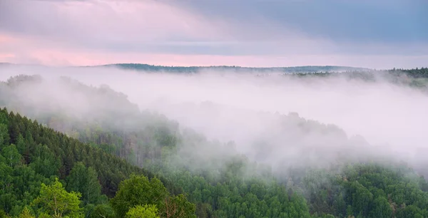 Wunderschöner Sonnenaufgang im Wald bei dichtem Nebel. Blick aus der Höhe — Stockfoto